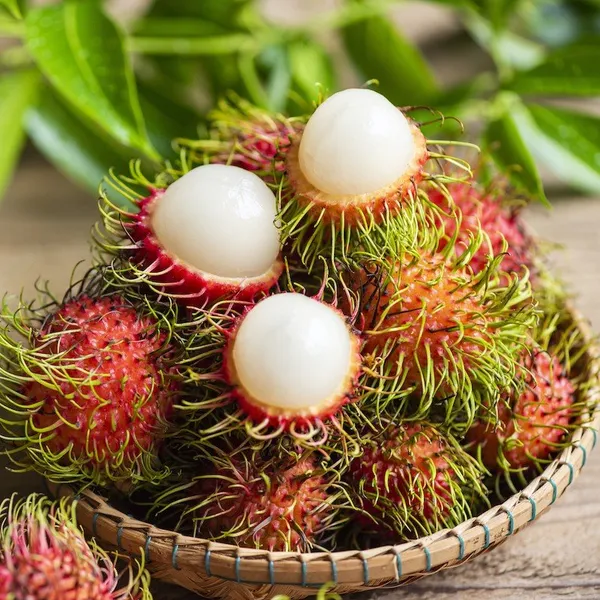 Rambutan_Fruit_Plant