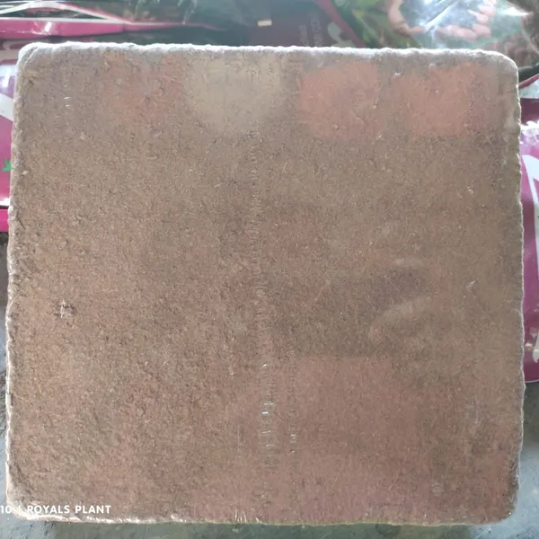 Cocopeat_Powder_(Pack_Of_5Kgs)