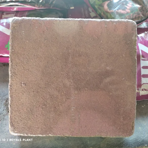 Cocopeat_Powder_(Pack_Of_5Kgs)