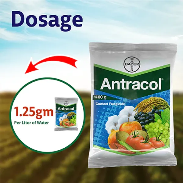 Antracol_For_Fungcide