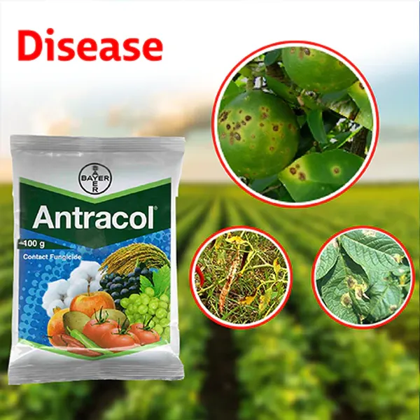 Antracol_For_Fungcide