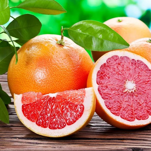 Ruby_Red_Grapefruit_Grafted_&_Hybrid_Fruit_Plant