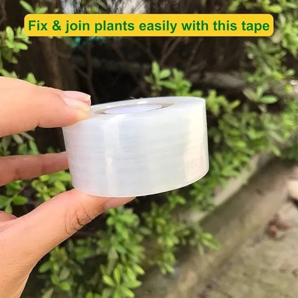 Grafting_Paper_2_Inchi_400_Meter