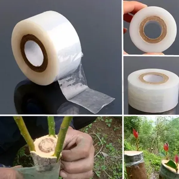 Grafting_Paper_2_Inchi_400_Meter