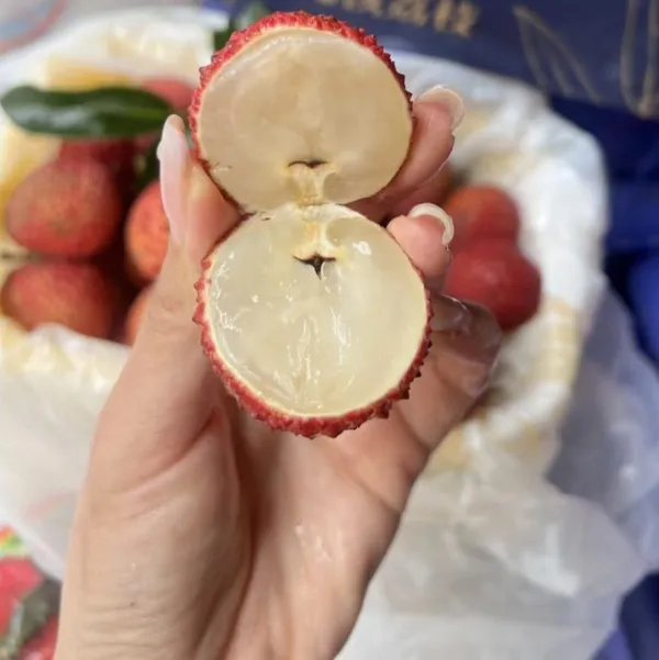 Seedless_Litchi_Grafted_Fruit_Plant_(Lychee)