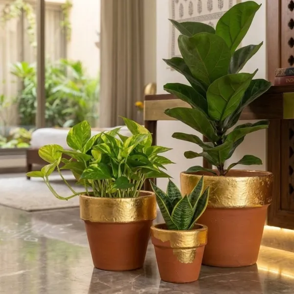 Pack_Of_3_Golden_Natural_Terracotta_Plant_Pot_Non_Breakable_|Lightweight_&_Weather_Resistant