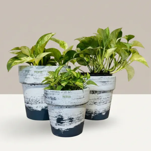 Pack_Of_3_Natural_Terracotta_Plant_Pot_Non_Breakable_|Lightweight_&_Weather_Resistant