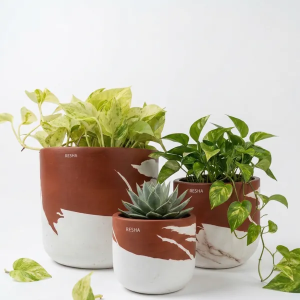 Pack_Of_3_Natural_Terracotta_Plant_Pot_Non_Breakable_|Lightweight_&_Weather_Resistant