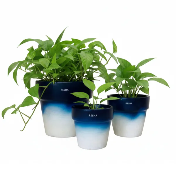 Pack_Of_3_Natural_Terracotta_Plant_Pot_Non_Breakable_|Lightweight_&_Weather_Resistant