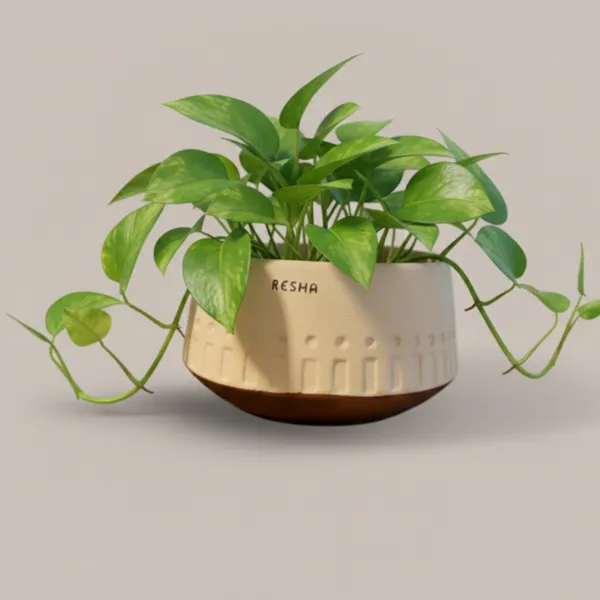 Pack_Of_1_Natural_Terracotta_Plant_Pot_Non_Breakable_|Lightweight_&_Weather_Resistant