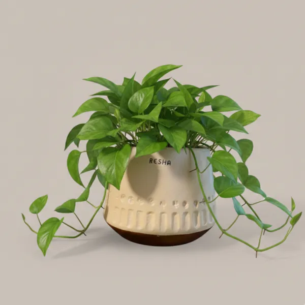 Pack_Of_1_Natural_Terracotta_Plant_Pot_Non_Breakable_|Lightweight_&_Weather_Resistant