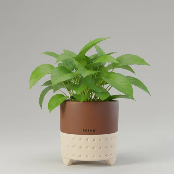 Pack_Of_1_Natural_Terracotta_Plant_Pot_Non_Breakable_|Lightweight_&_Weather_Resistant