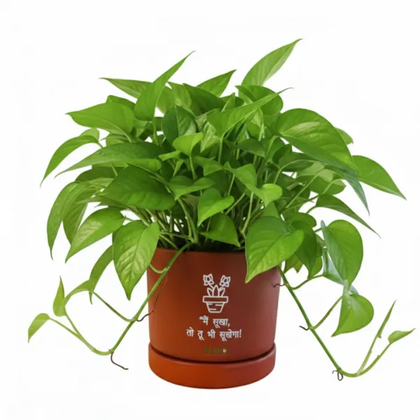 Pack_Of_1_Natural_Terracotta_Plant_Pot_Non_Breakable_|Lightweight_&_Weather_Resistant