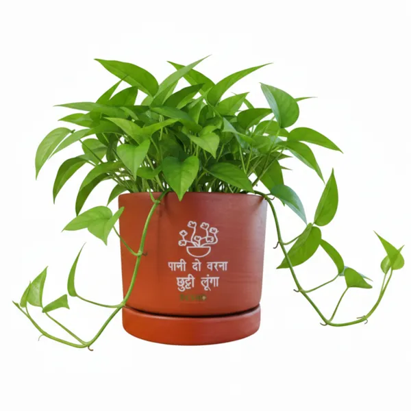 Pack_Of_1_Natural_Terracotta_Plant_Pot_Non_Breakable_|Lightweight_&_Weather_Resistant