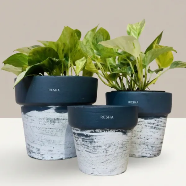 Pack_Of_3_Natural_Terracotta_Plant_Pot_Non_Breakable_|Lightweight_&_Weather_Resistant