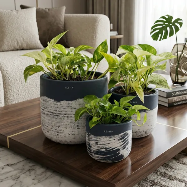 Pack_Of_3_Natural_Terracotta_Plant_Pot_Non_Breakable_|Lightweight_&_Weather_Resistant