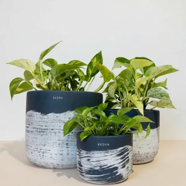 Pack_Of_3_Natural_Terracotta_Plant_Pot_Non_Breakable_|Lightweight_&_Weather_Resistant