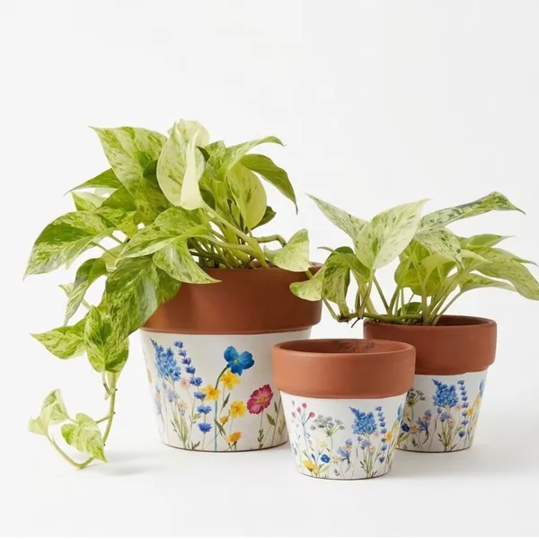 Pack_Of_3_Natural_Terracotta_Plant_Pot_Non_Breakable_|Lightweight_&_Weather_Resistant