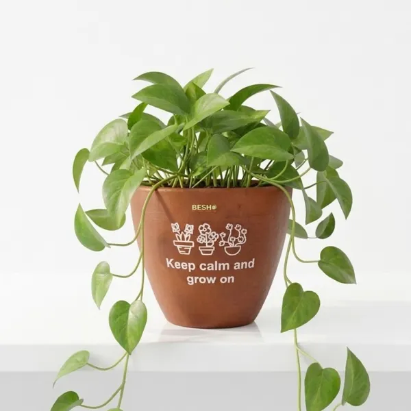 Pack_Of_1_Natural_Terracotta_Plant_Pot_Non_Breakable_|Lightweight_&_Weather_Resistant