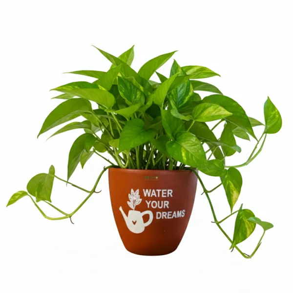 Pack_Of_1_Natural_Terracotta_Plant_Pot_Non_Breakable_|Lightweight_&_Weather_Resistant
