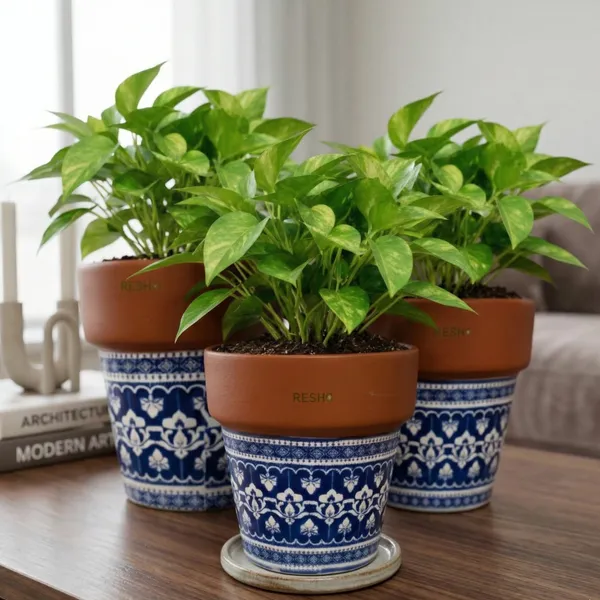 Pack_Of_3_Natural_Terracotta_Plant_Pot_Non_Breakable_|Lightweight_&_Weather_Resistant