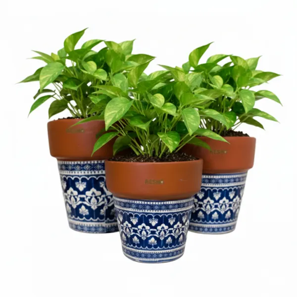 Pack_Of_3_Natural_Terracotta_Plant_Pot_Non_Breakable_|Lightweight_&_Weather_Resistant