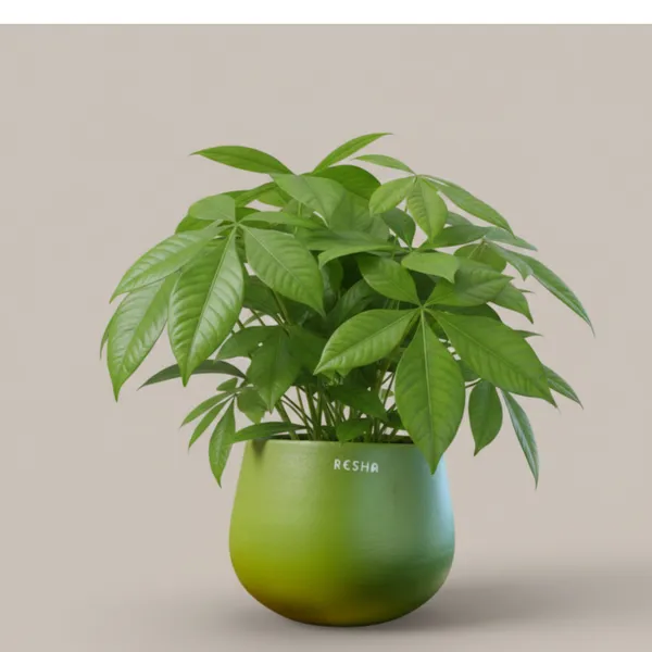 Pack_Of_1_Green_Natural_Terracotta_Plant_Pot_Non_Breakable_|Lightweight_&_Weather_Resistant