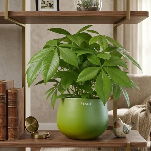 Pack_Of_1_Green_Natural_Terracotta_Plant_Pot_Non_Breakable_|Lightweight_&_Weather_Resistant