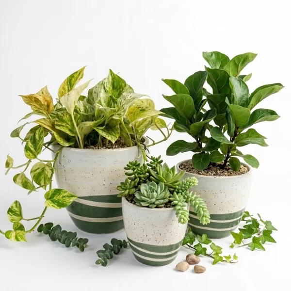 Pack_Of_3_Natural_Terracotta_Plant_Pot_Non_Breakable_|Lightweight_&_Weather_Resistant
