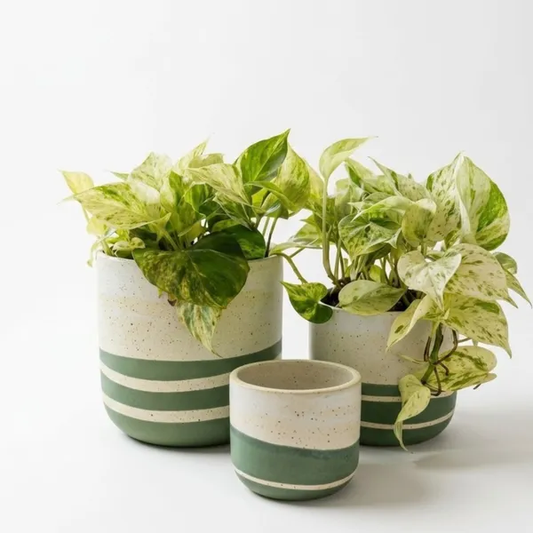 Pack_Of_3_Natural_Terracotta_Plant_Pot_Non_Breakable_|Lightweight_&_Weather_Resistant