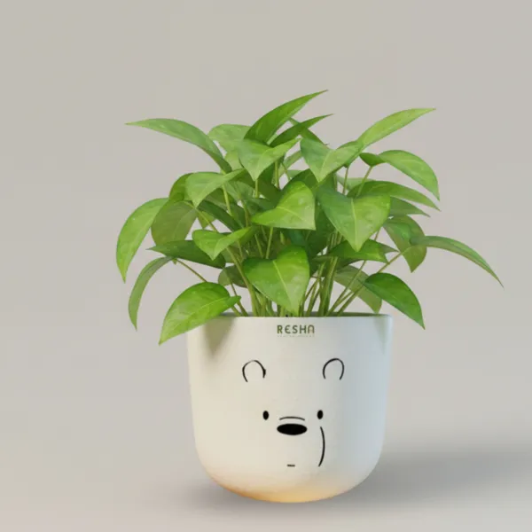 Pack_Of_1_Natural_Terracotta_Plant_Pot_Non_Breakable_|Lightweight_&_Weather_Resistant