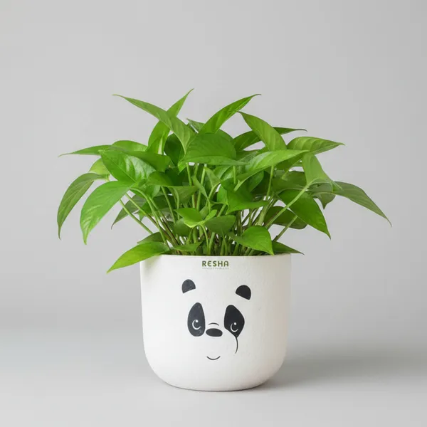 Pack_Of_1_Natural_Terracotta_Plant_Pot_Non_Breakable_|Lightweight_&_Weather_Resistant