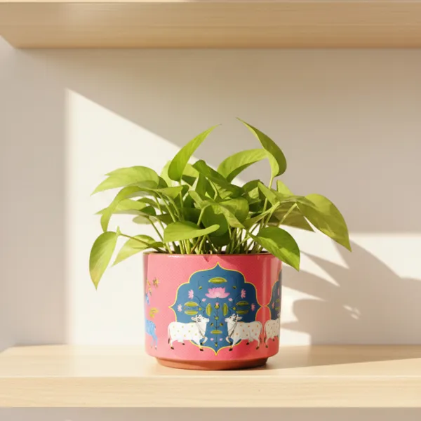 KAMDHENU__Pack_Of_1_Natural_Terracotta_Plant_Pot