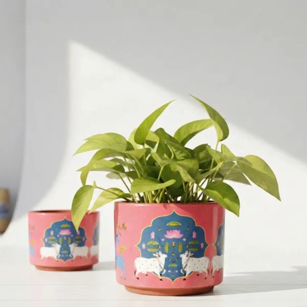 KAMDHENU__Pack_Of_1_Natural_Terracotta_Plant_Pot