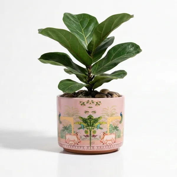 Pack_Of_1_Natural_Terracotta_Plant_Pot_Non_Breakable_|Lightweight_&_Weather_Resistant