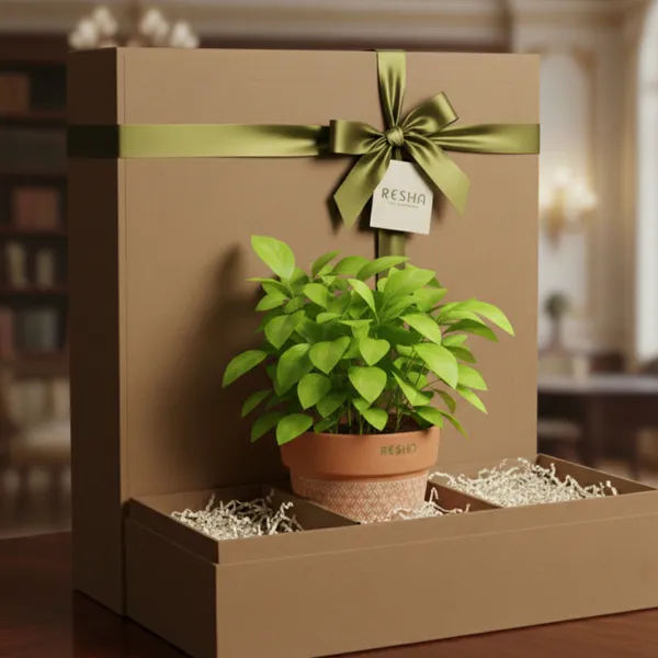 Pack_Of_3_Natural_Terracotta_Plant_Pot_Non_Breakable_|Lightweight_&_Weather_Resistant