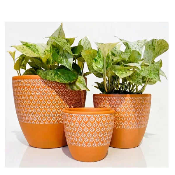 Pack_Of_3_Natural_Terracotta_Plant_Pot_Non_Breakable_|Lightweight_&_Weather_Resistant