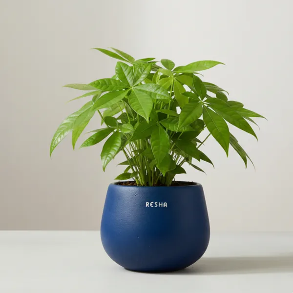 Pack_Of_1_Natural_Terracotta_Plant_Pot_Non_Breakable_|Lightweight_&_Weather_Resistant