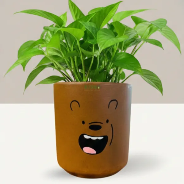 Pack_Of_1_Natural_Terracotta_Plant_Pot_Non_Breakable_|Lightweight_&_Weather_Resistant