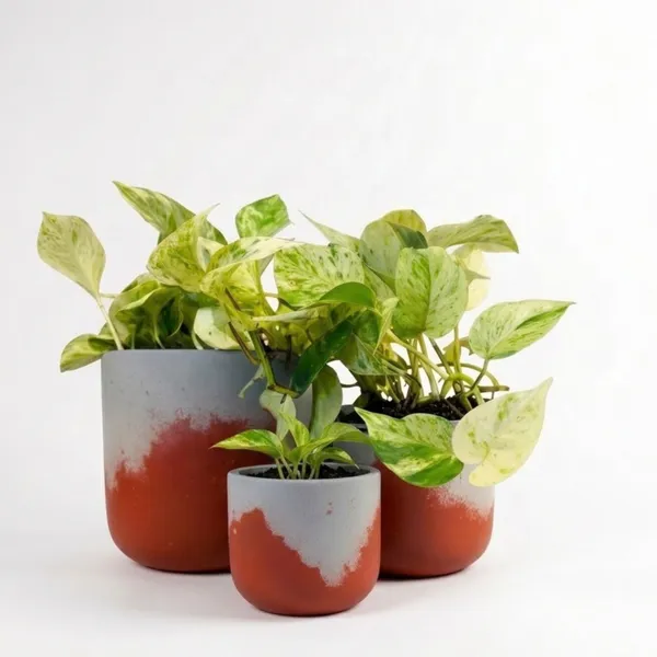 Pack_Of_3_Grey_Natural_Terracotta_Plant_Pot_Non_Breakable_|Lightweight_&_Weather_Resistant