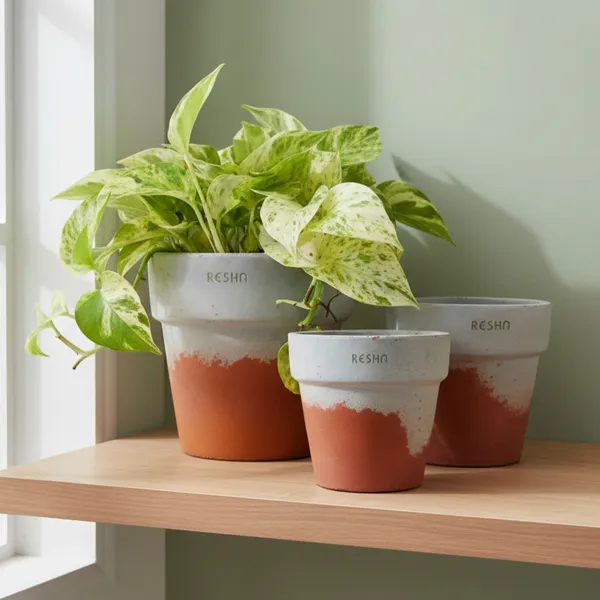 Pack_Of_3_Grey_Natural_Terracotta_Plant_Pot_Non_Breakable_|Lightweight_&_Weather_Resistant