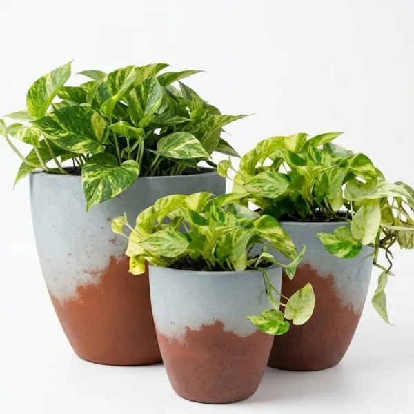 Pack_Of_3_Grey_Natural_Terracotta_Plant_Pot_Non_Breakable_|Lightweight_&_Weather_Resistant