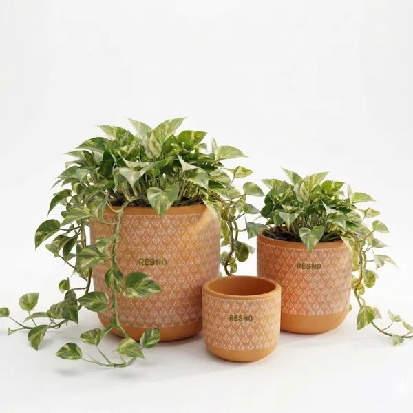 Pack_Of_3_Natural_Terracotta_Plant_Pot_Non_Breakable_|Lightweight_&_Weather_Resistant