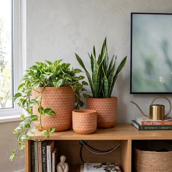 Pack_Of_3_Natural_Terracotta_Plant_Pot_Non_Breakable_|Lightweight_&_Weather_Resistant