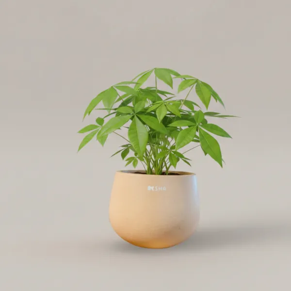 Pack_Of_1_Peach_Natural_Terracotta_Plant_Pot_Non_Breakable_|Lightweight_&_Weather_Resistant