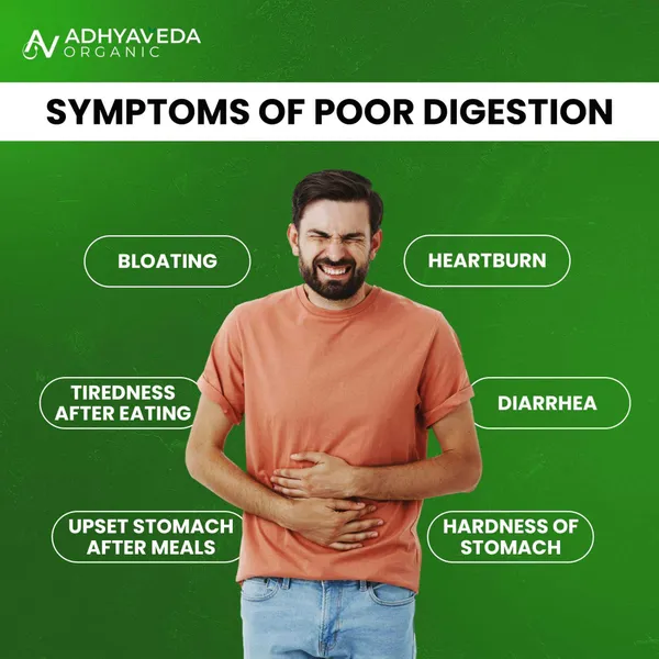 Digestive_Enzyme_|_Gut_Health,_Nutrient_Absorption_&_Relief_From_Gas,_Bloating_&_Indigestion_|_Sugar-Free_|_120_Capsules
