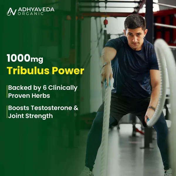 Herbal_Wellness_Formula_|_With_Shilajit,_Ashwagandha,_Safed_Musli_&_Gokshura_|_120_Tablets_|_Plant-Based_Daily_Supplement
