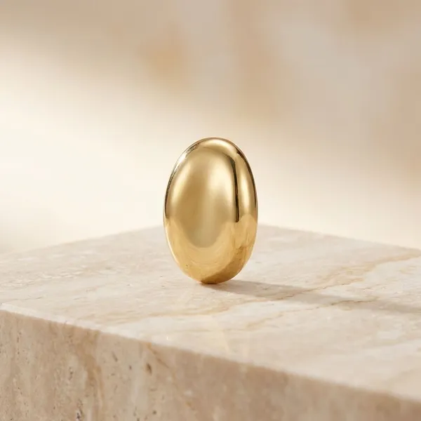 Golden_Stainless_Steel_Premium_Dove_Earring_For_Women