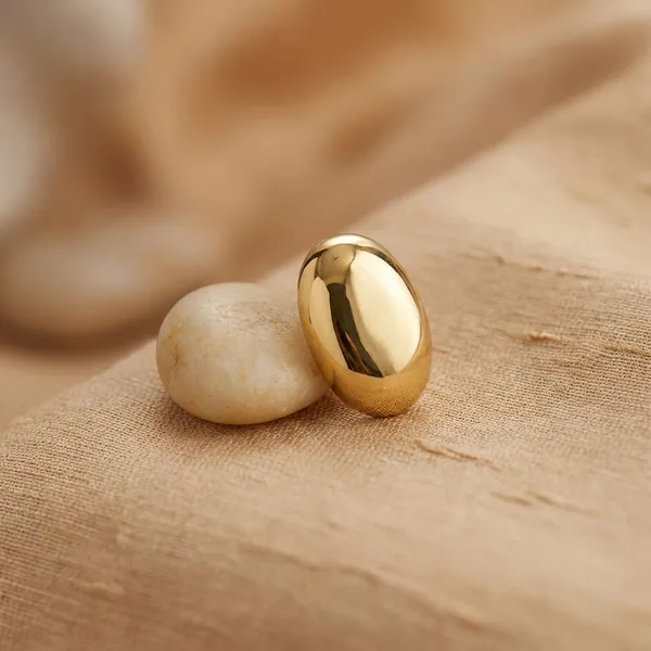 Golden_Stainless_Steel_Premium_Dove_Earring_For_Women