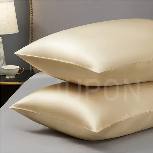Beige_Standard_Silk_Pillow_Cover_Cases_For_Hair_And_Skin_Mulberry_Silk_With_Envelope_Closure_Set_Of_2